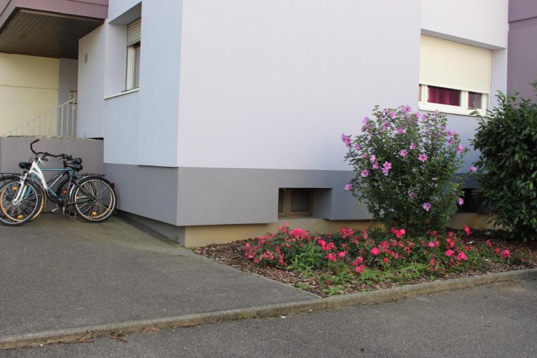 Studios Lora Rm 860 Saint-Louis  Bagian luar foto