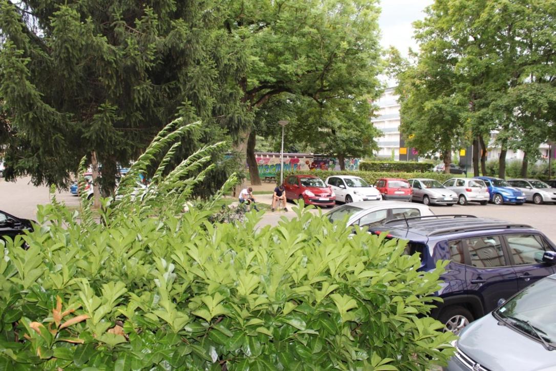 Studios Lora Rm 860 Saint-Louis  Bagian luar foto